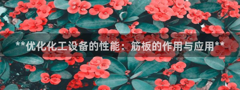 门徒娱乐平台登录入口