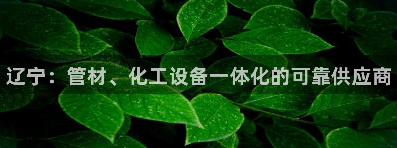 门徒平台注册官网入口