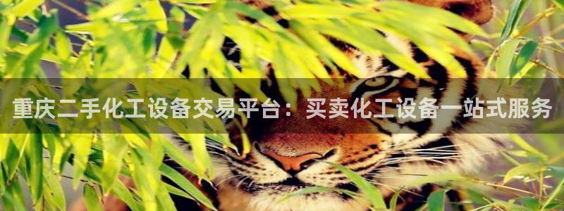 门徒娱乐怎么注册公司