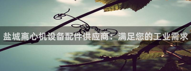 门徒平台注册中心官网查询
