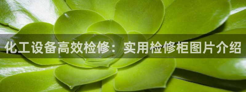 门徒娱乐充值能正常提现吗
