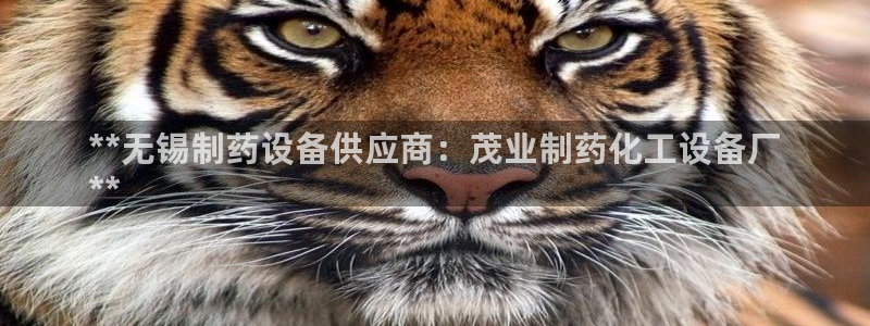 门徒娱乐登录地址在哪