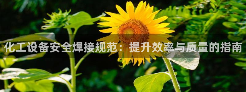 门徒平台马 411O31 门徒