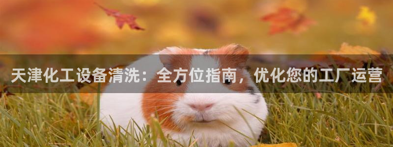 门徒平台注册登陆失败怎么回事：天津化工设备清洗：全