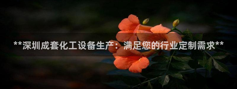 门徒娱乐用户评价与反馈