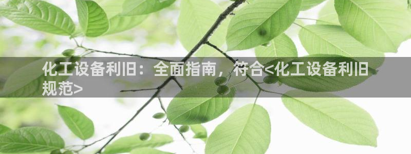 门徒平台官网首页入口
