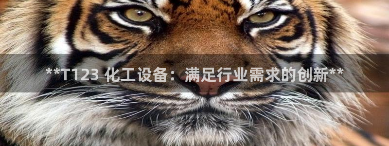 门徒娱乐平台登录地址：**T123 化工设备：满足