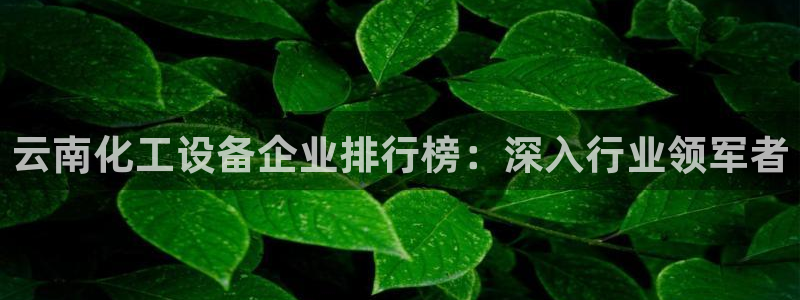 门徒平台测速网址是多少