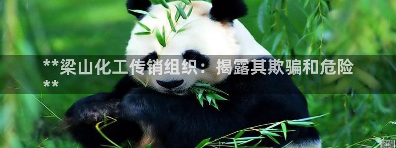 门徒娱乐客服电话