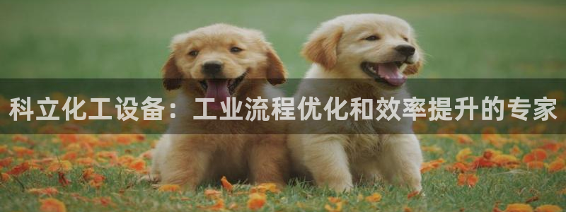门徒在哪个平台可以看