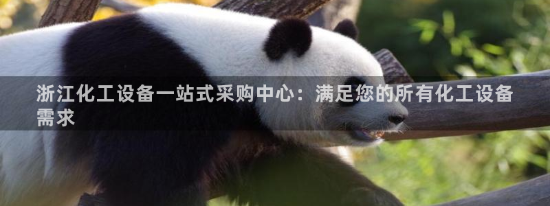 门徒娱乐项目：浙江化工设备一站式采购中心：满足您的所有化工设