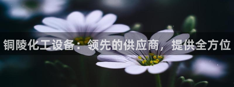 门徒平台二7O777：铜陵化工设备：领先的供应商，