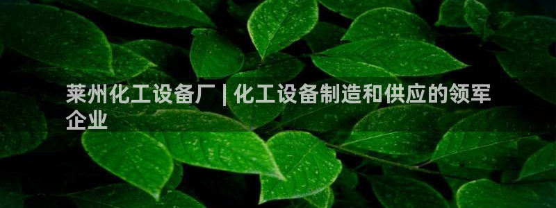 门徒娱乐充值安全吗：莱州化工设备厂 | 化工设备制造和供应的