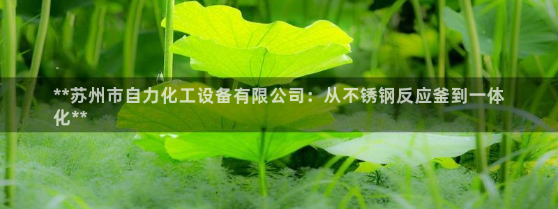门徒平台虎 411O31 门徒
