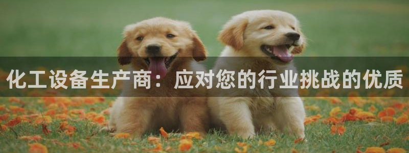 门徒娱乐能玩吗