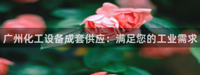 门徒平台着 58534I 平台