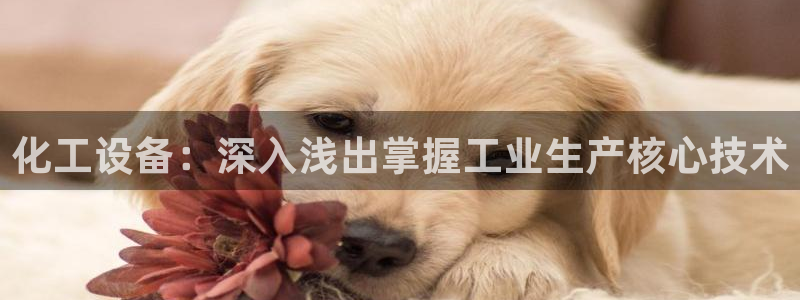 门徒平台指定入口