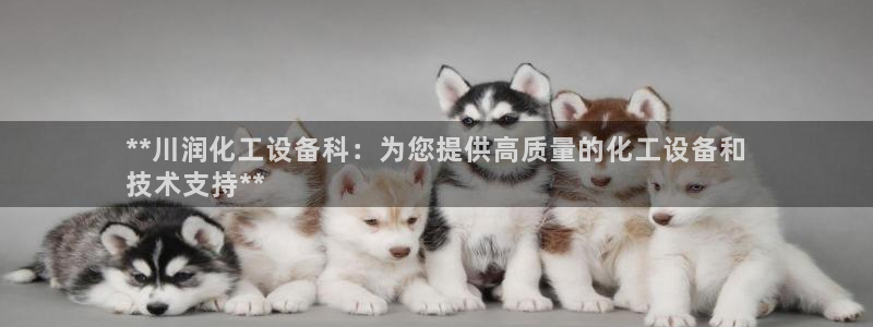 门徒娱乐平台