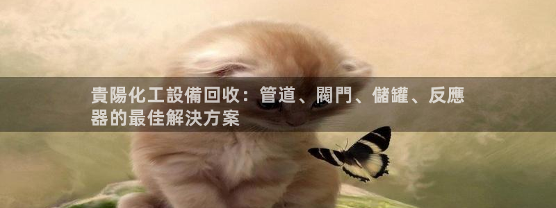 门徒娱乐平台代理怎么做
