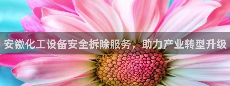门徒平台官网注册入口