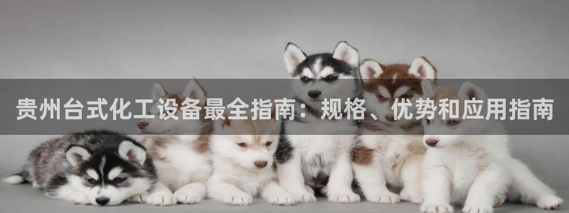 门徒娱乐注册官网入口