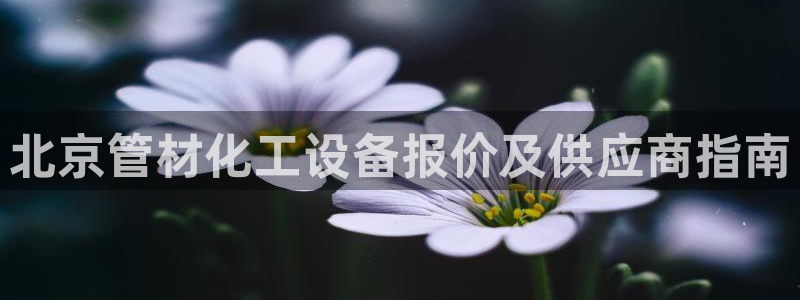 门徒娱乐创始人简介是谁