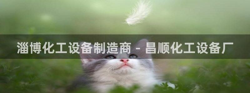 门徒娱乐集团