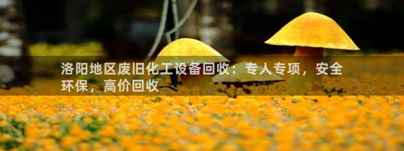 门徒平台注册中心电话