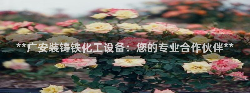门徒娱乐充值能正常提现吗