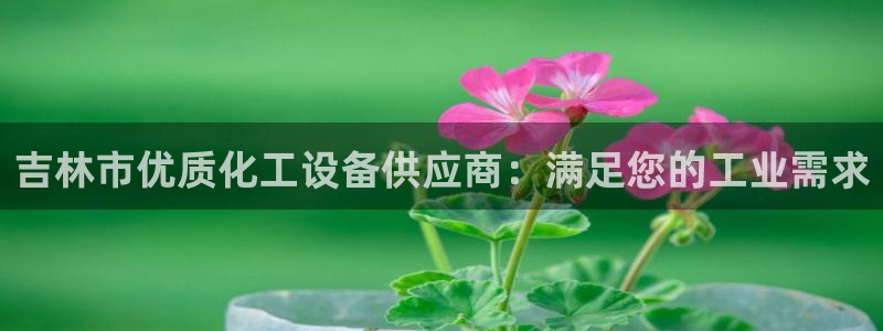 门徒娱乐注册登录地址怎么填：吉林市优质化工设备供应
