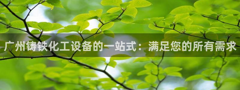 门徒娱乐app代理加盟怎么样：广州铸铁化工设备的一
