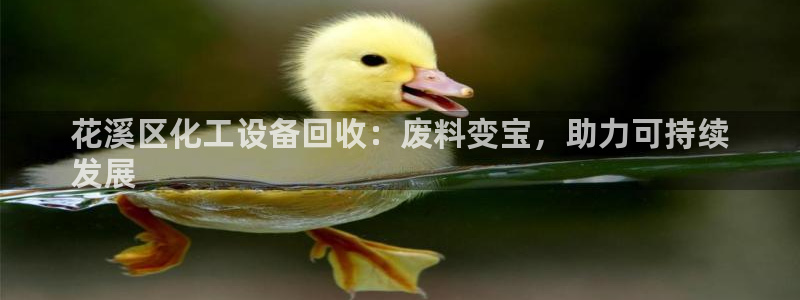 门徒平台注册中心