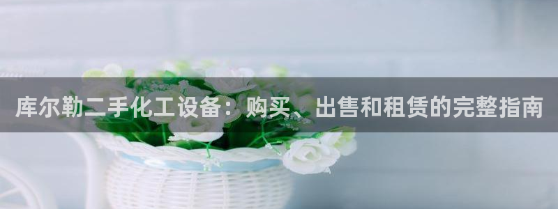 门徒平台推荐 585341