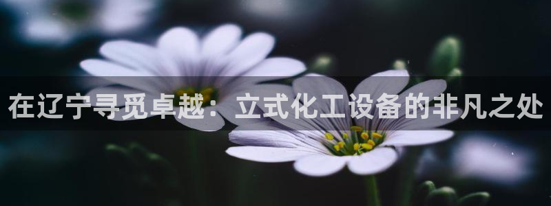 门徒娱乐分分彩