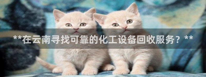 门徒平台推 58534I 平台