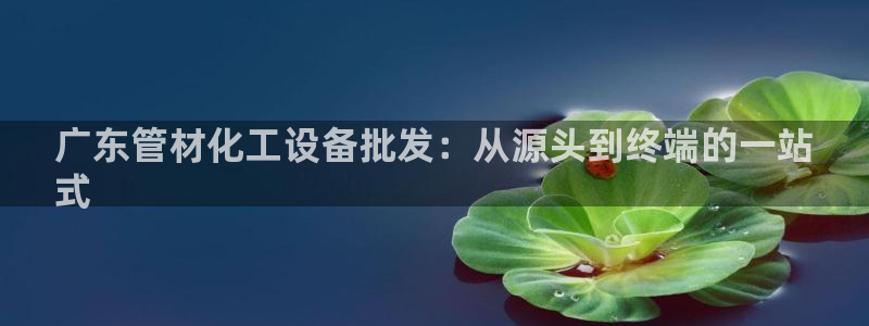 门徒娱乐的创始人背景