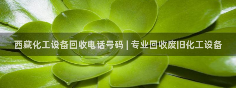 门徒娱乐充值能正常提现吗知乎：西藏化工设备回收电话