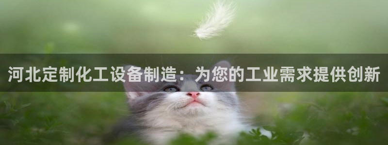 门徒平台代理多少钱