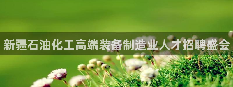 门徒娱乐有人被黑吗：新疆石油化工高端装备制造业人才招聘盛会
